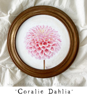 Painted Prints in Vintage Frames