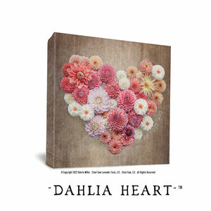 Dahlia Heart