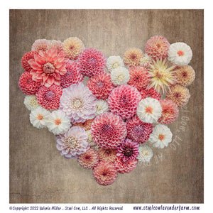 Dahlia Heart