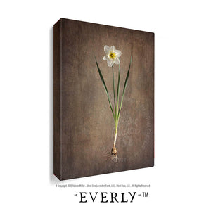 Everly