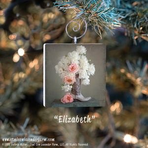Holiday Ornaments (15 Images Available)