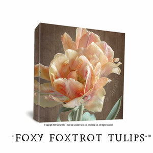 Foxy Foxtrot Tulips