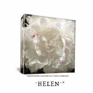 Helen