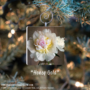 Holiday Ornaments (15 Images Available)