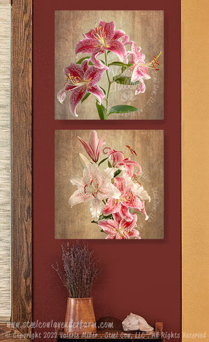Muscadet and Stargazer Lillies