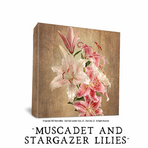 Muscadet and Stargazer Lillies