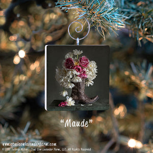 Holiday Ornaments (15 Images Available)