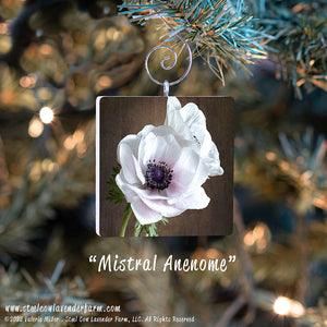 Holiday Ornaments (15 Images Available)