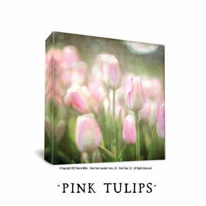 Pink Tulips