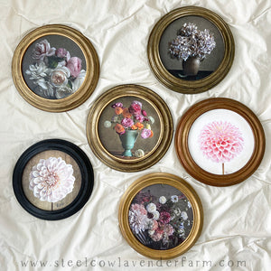 Painted Prints in Vintage Frames