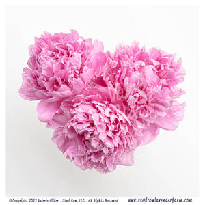 Pink Peony Heart