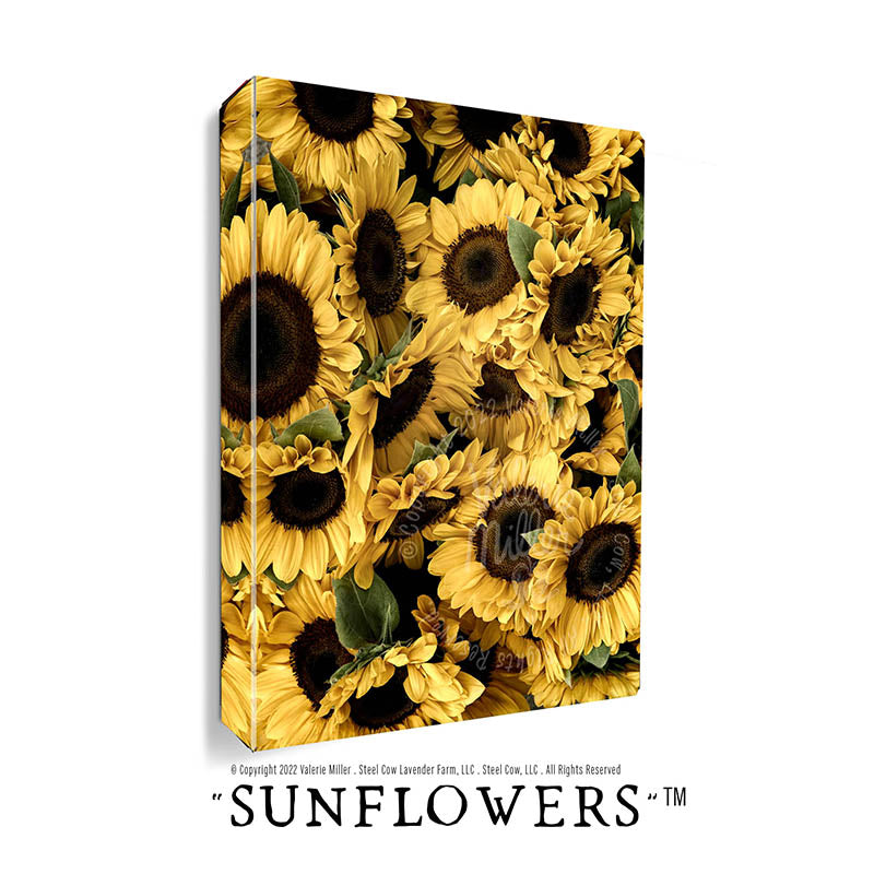 Buy SEAMLESS Pattern Cowhide Sunflower Western Rustic Digital Online in  India  Etsy