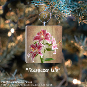 Holiday Ornaments (15 Images Available)