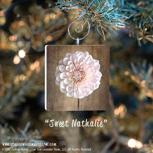 Holiday Ornaments (15 Images Available)