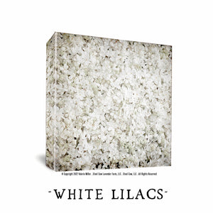 White Lilacs