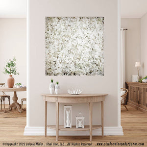 White Lilacs