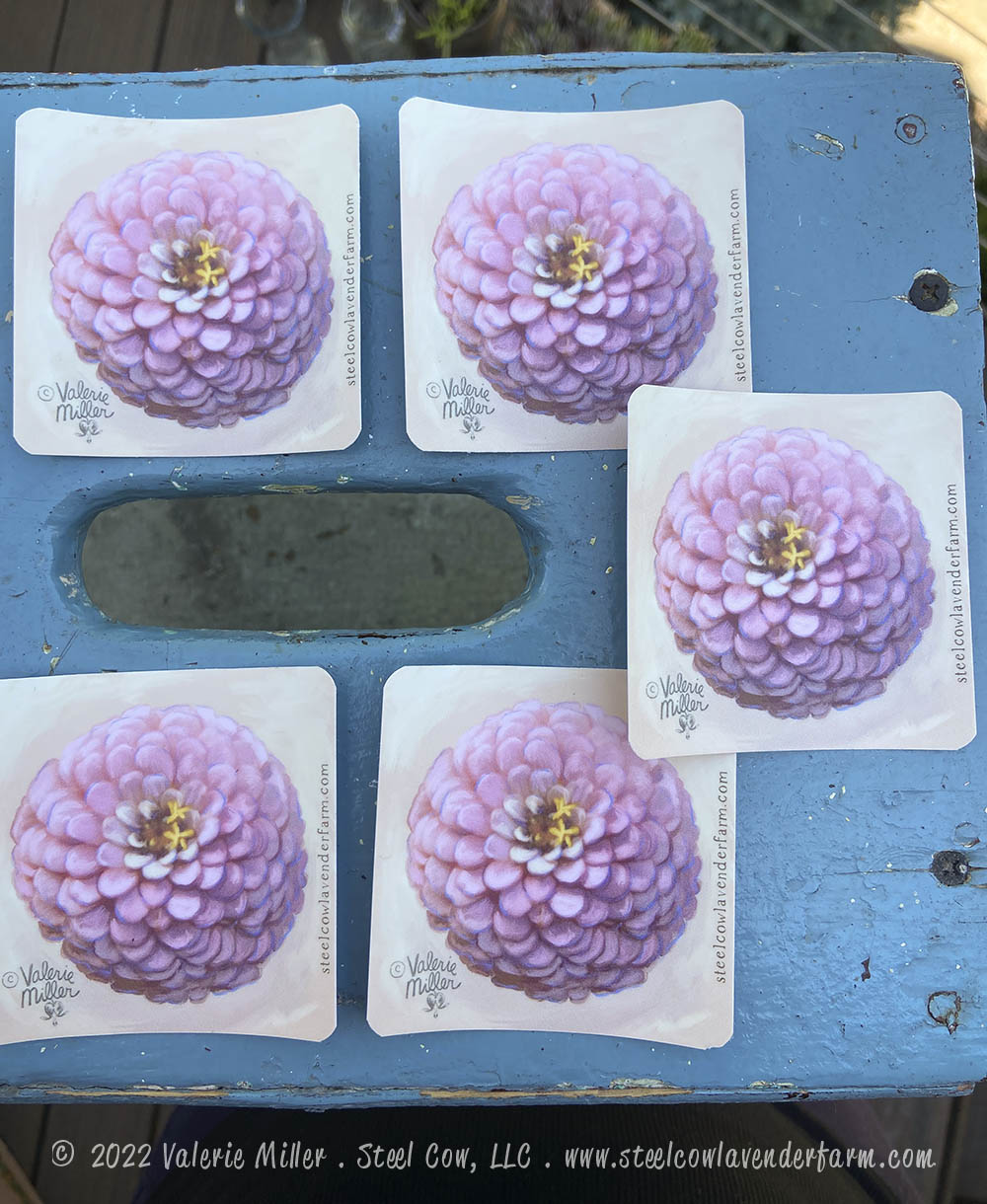 Oklahoma Salmon Zinnia Sticker