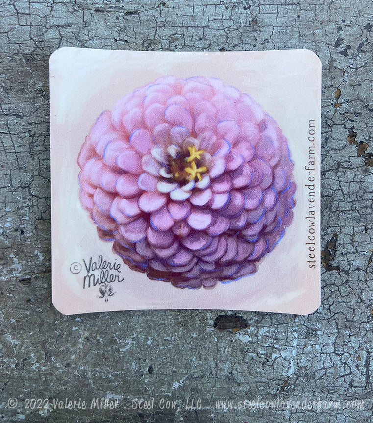 Oklahoma Salmon Zinnia Sticker