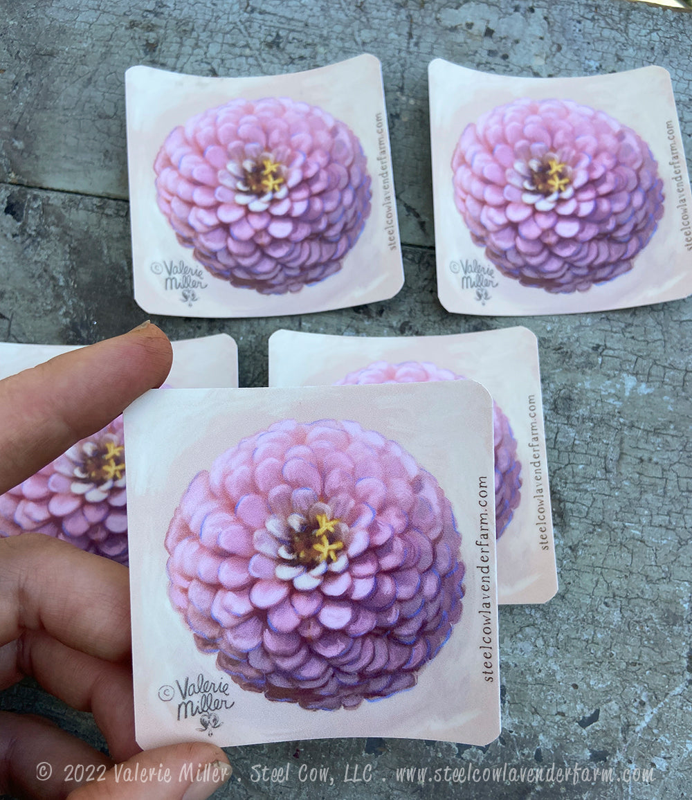 Oklahoma Salmon Zinnia Sticker