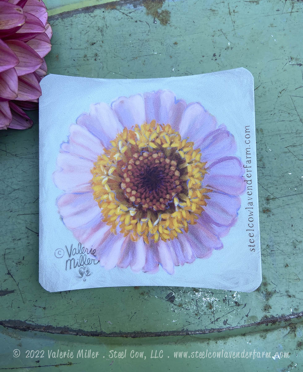 Cupcake Zinnia Sticker