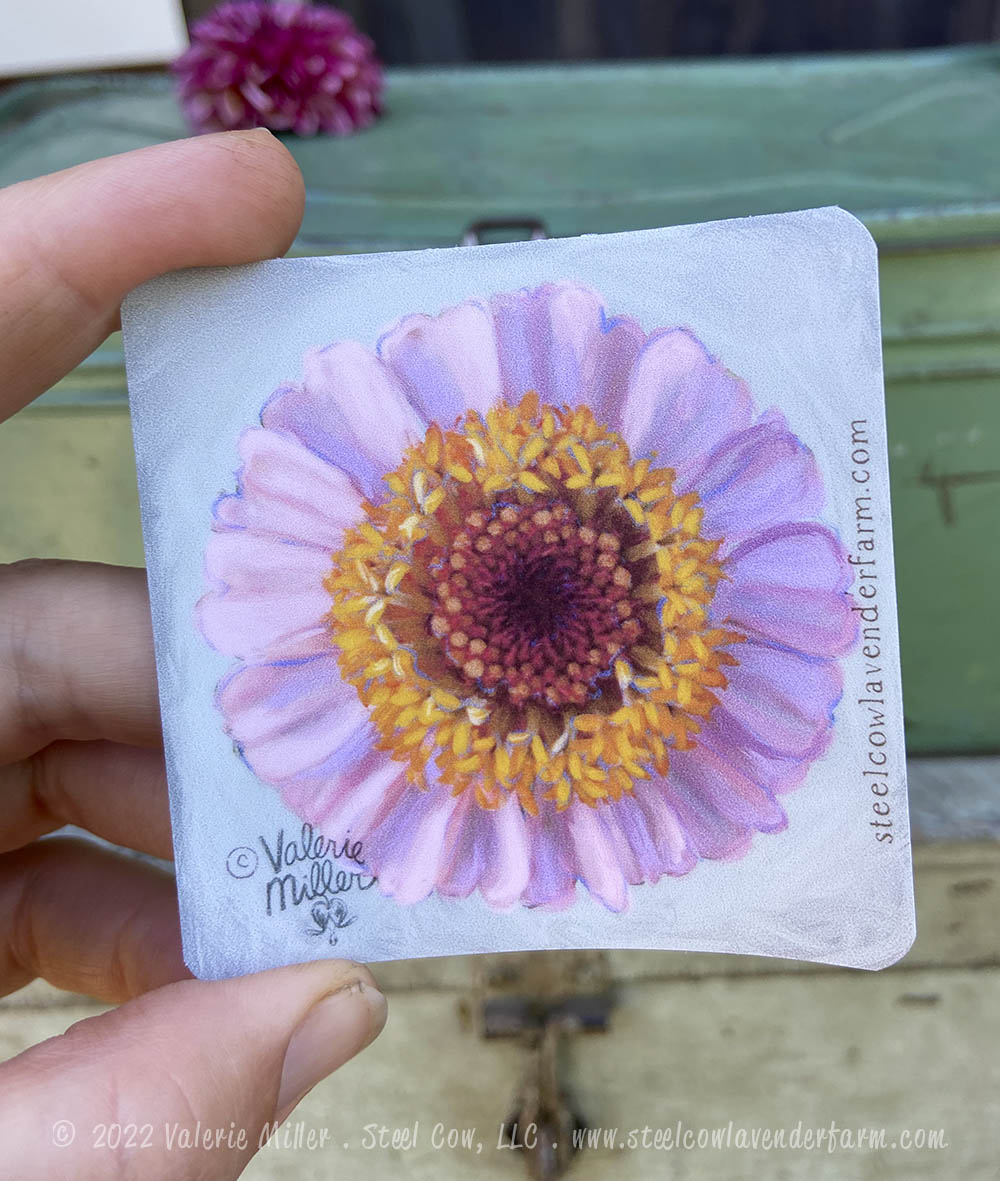 Cupcake Zinnia Sticker