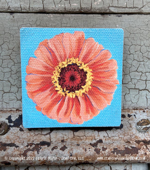 Orange Zinnia Magnet