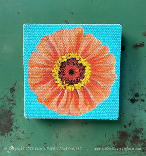 Orange Zinnia Magnet