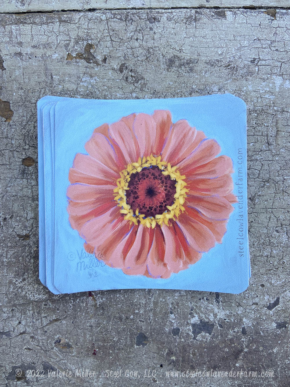Orange Zinnia Sticker