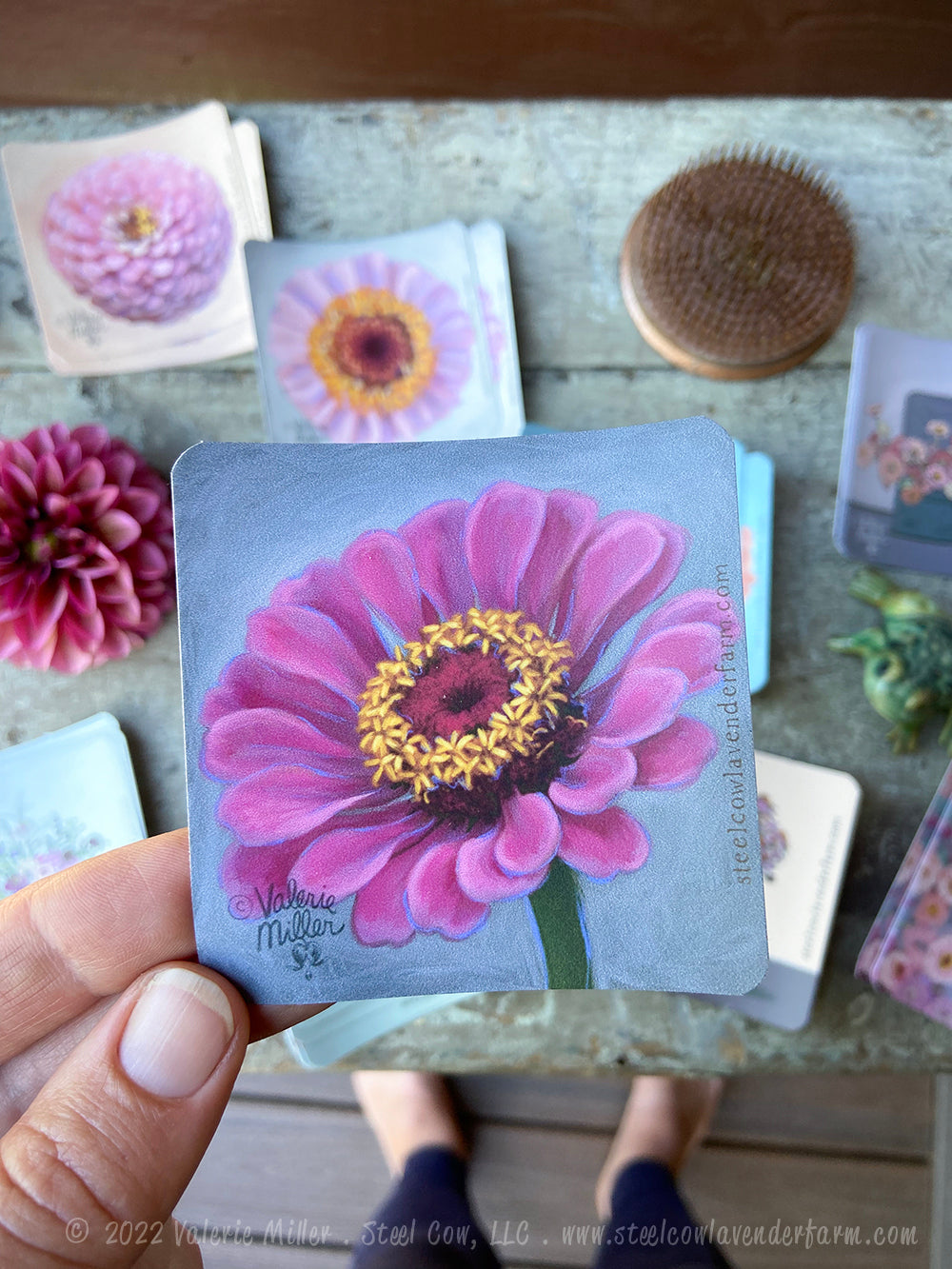 Dark Pink Zinnia Sticker