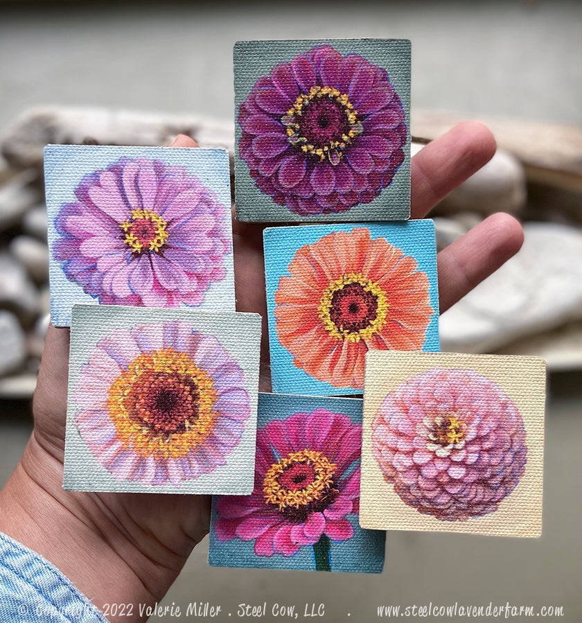 Oklahoma Salmon Zinnia Magnet