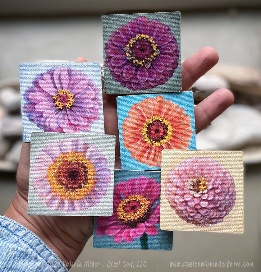 Dark Pink Zinnia Magnet