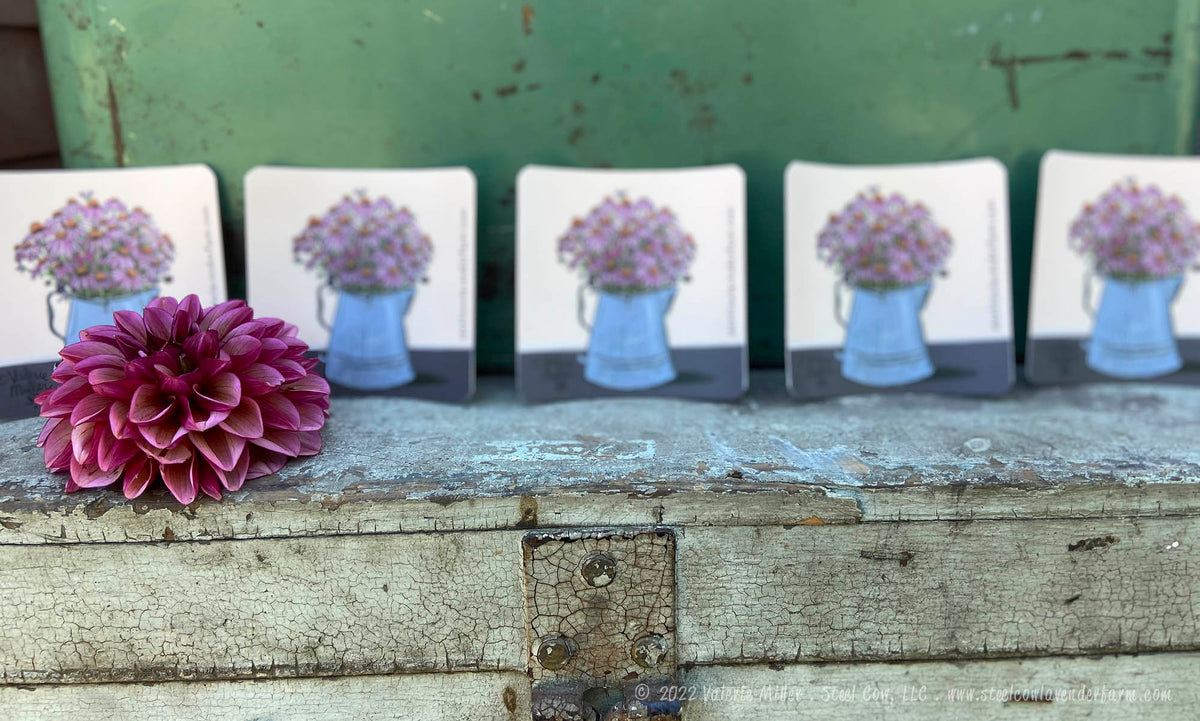 Purple Coneflowers in an Enamel Pot Sticker