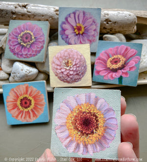 Zinnia Magnet 6 Pack